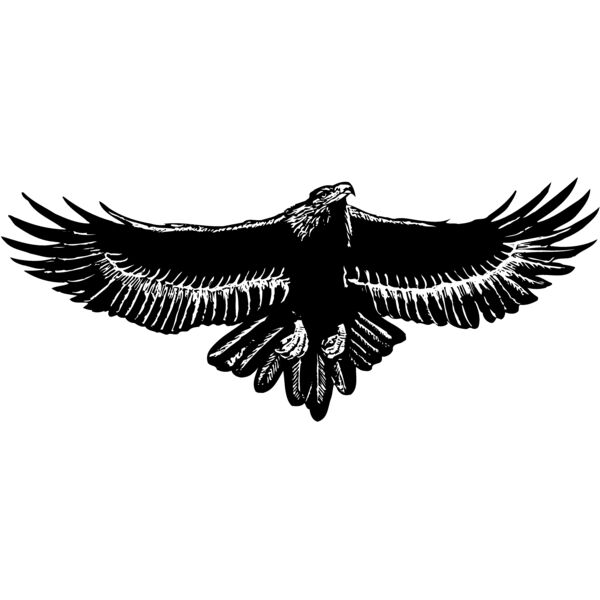 EAGLE010 Thumbnail